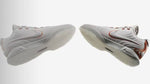 Nike Lebron 21