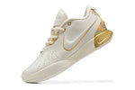 Nike Lebron 21